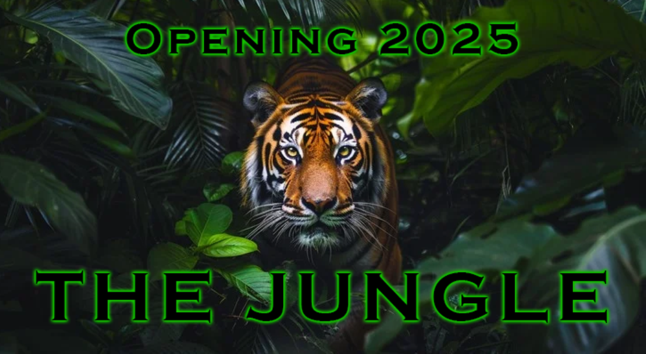 Join Us in the Jungle!